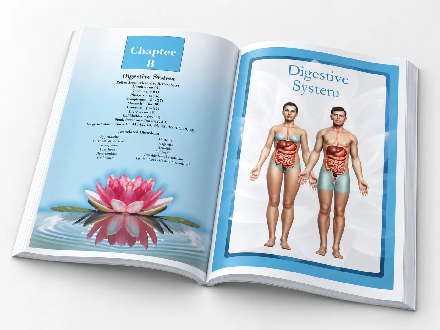 Pathology for the Reflexologist and the Allied Health Professional - Image 10