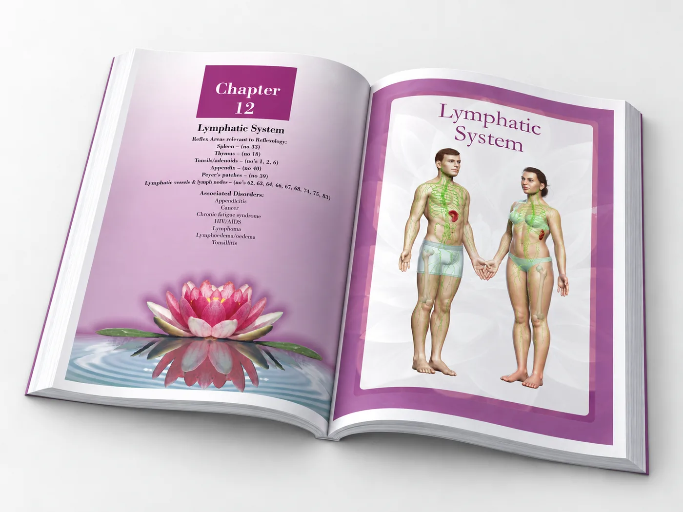 Pathology for the Reflexologist and the Allied Health Professional - Image 9