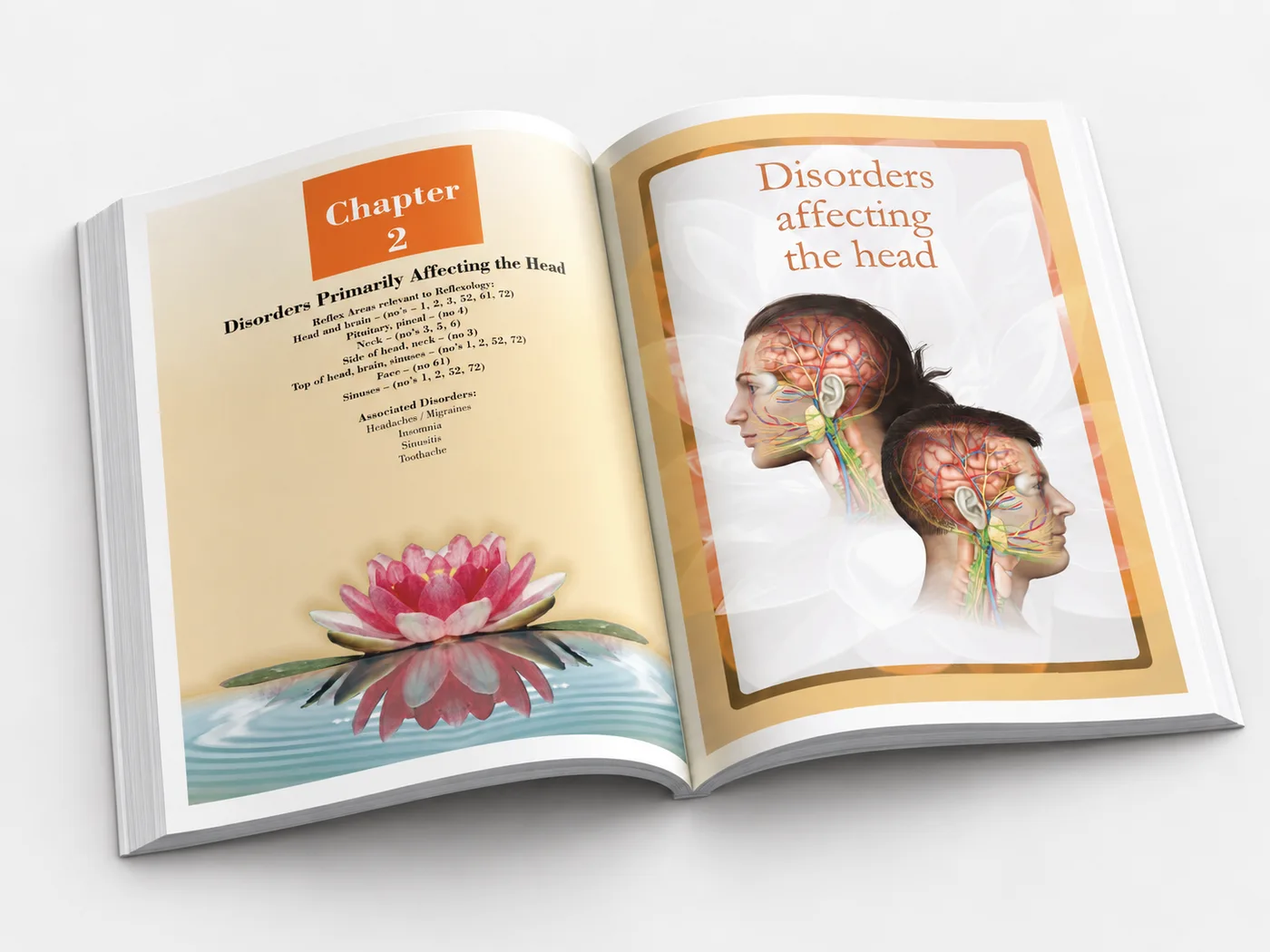 Chapter 2 start facing pages