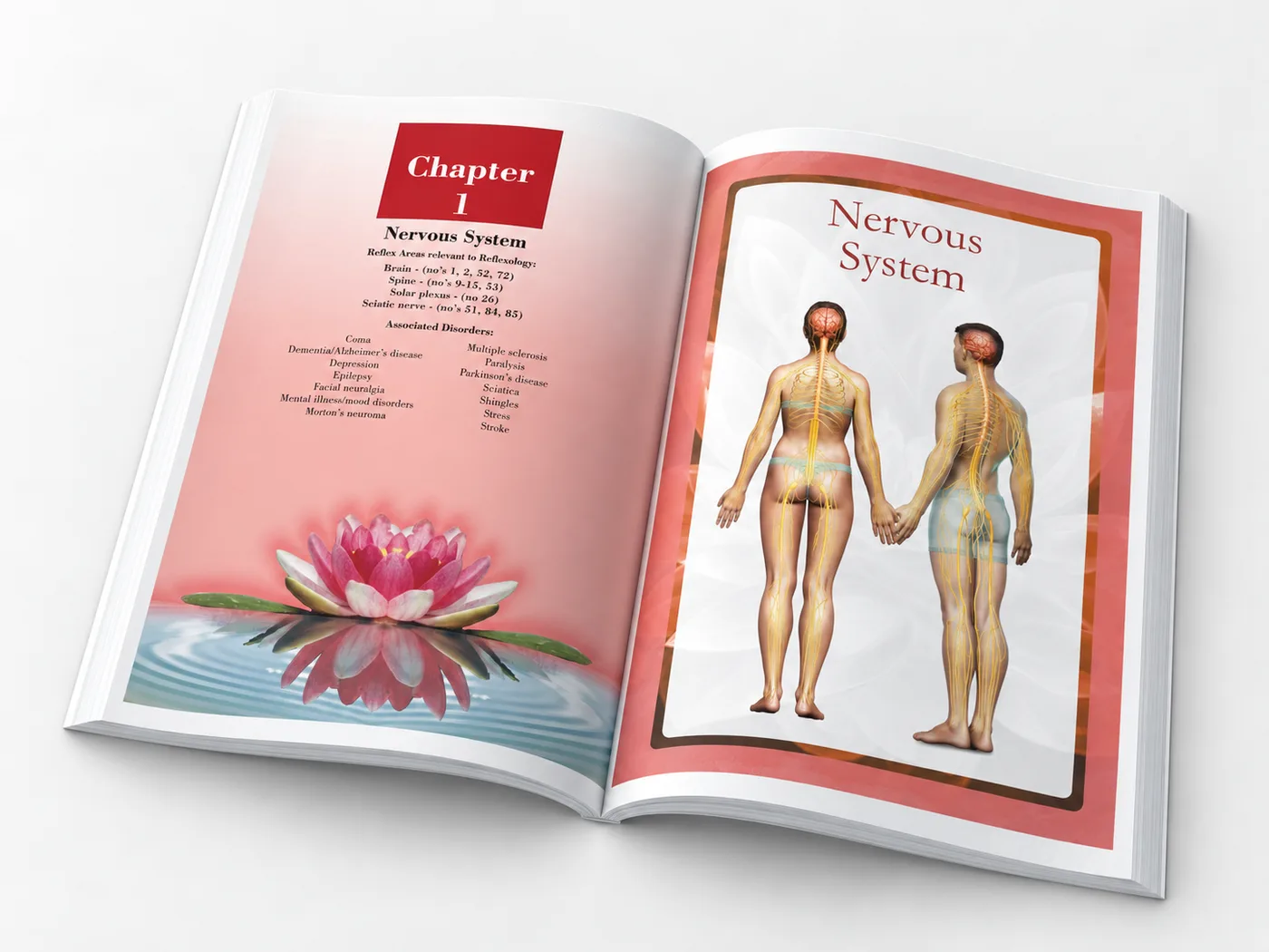 Pathology for the Reflexologist and the Allied Health Professional - Image 8